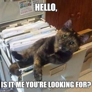 Meet your Posher, Carey